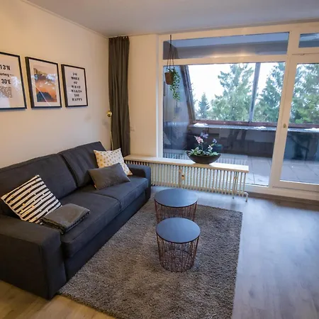 Moderne Snow & Bike 2-4 Personen Direkt Am Skilift Und In Der Naehe Des Bikeparks ווינטרברג